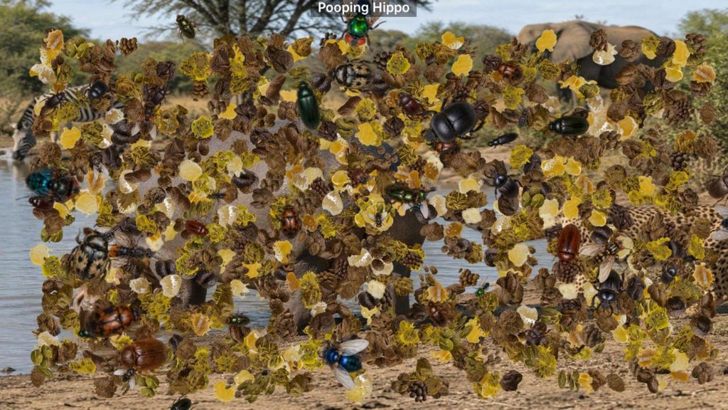 Pooping Hippo auto poop3.1